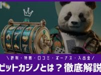 ビットカジノとは　評判特徴口コミ
